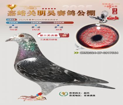 P(gun)껛Qِ80