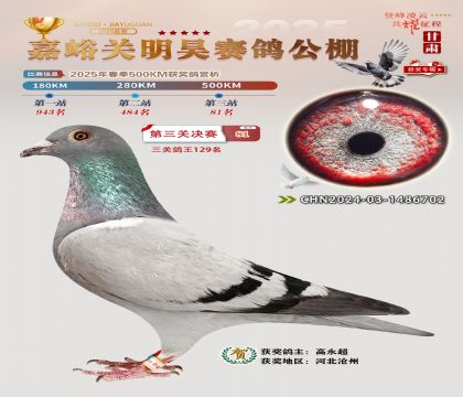P(gun)껛Qِ81