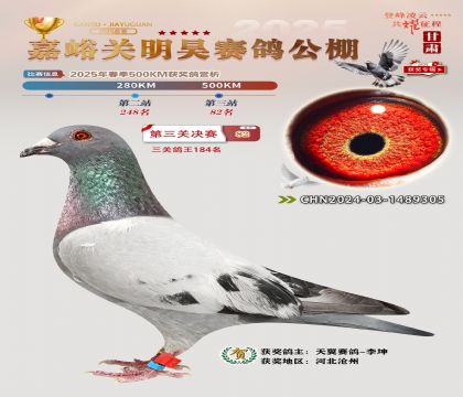 P(gun)껛Qِ82