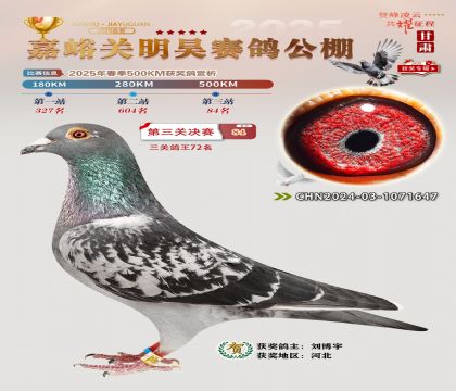 P(gun)껛Qِ84