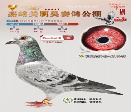 P(gun)껛Qِ85