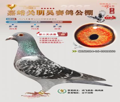P(gun)껛Qِ86