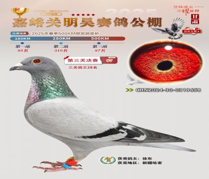 P(gun)껛Qِ87