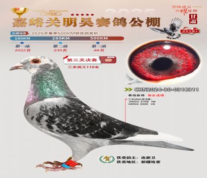 P(gun)껛Qِ88