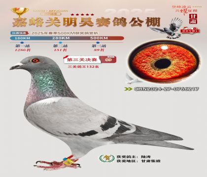 P(gun)껛Qِ89