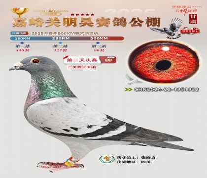 P(gun)껛Qِ90