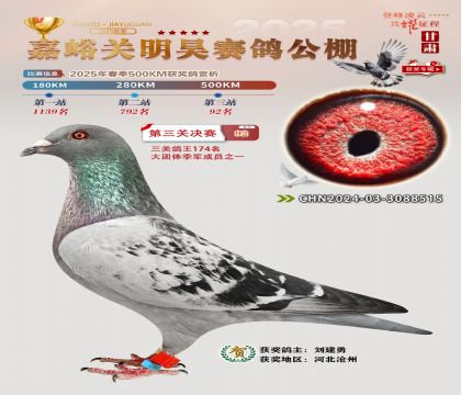 P(gun)껛Qِ92