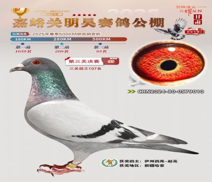 P(gun)껛Qِ93