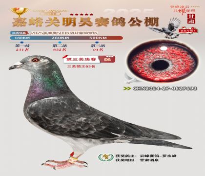 P(gun)껛Qِ94