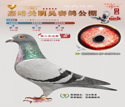 P(gun)껛Qِ97