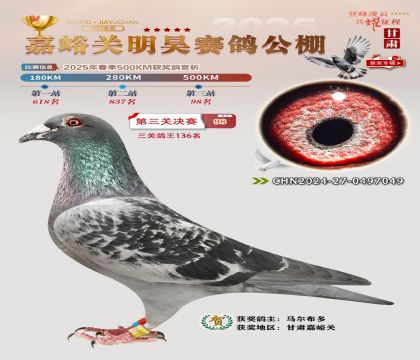 P(gun)껛Qِ98