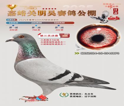 P(gun)껛Qِ102