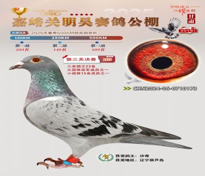 P(gun)껛Qِ103