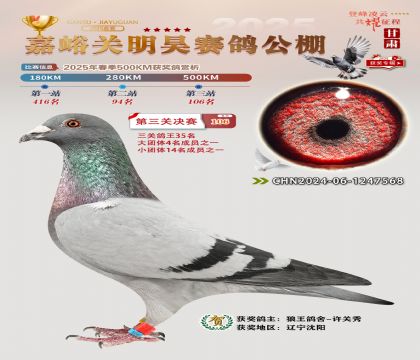 P(gun)껛Qِ106