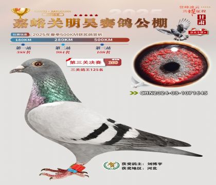 P(gun)껛Qِ108
