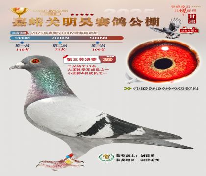 P(gun)껛Qِ109