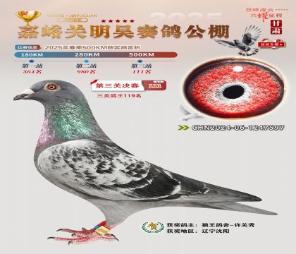P(gun)껛Qِ111