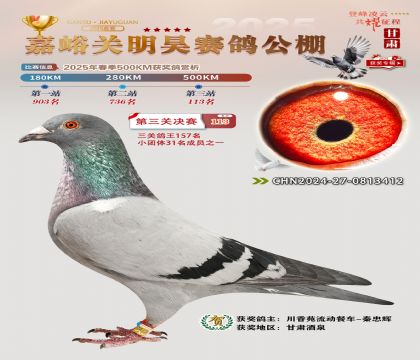 P(gun)껛Qِ113