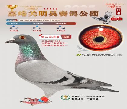 P(gun)껛Qِ115
