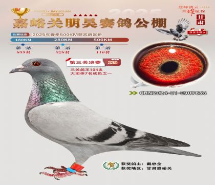 P(gun)껛Qِ116