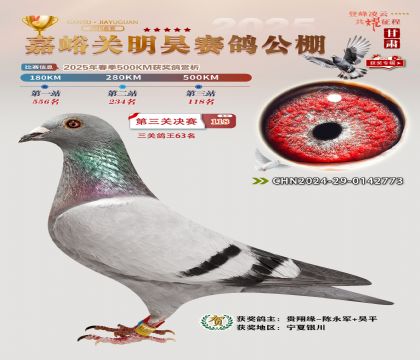 P(gun)껛Qِ118