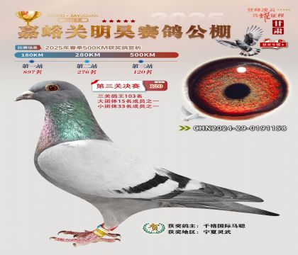 P(gun)껛Qِ120