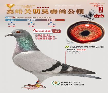 P(gun)껛Qِ121