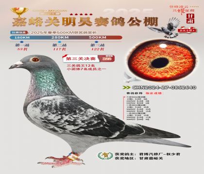 P(gun)껛Qِ122