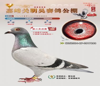 P(gun)껛Qِ123