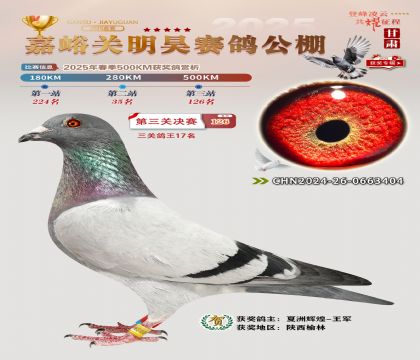 P(gun)껛Qِ126