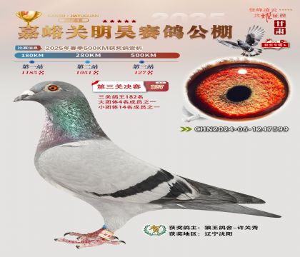 P(gun)껛Qِ127