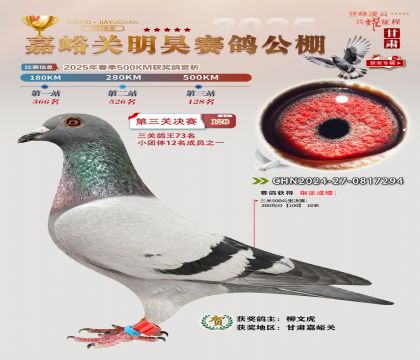 P(gun)껛Qِ128