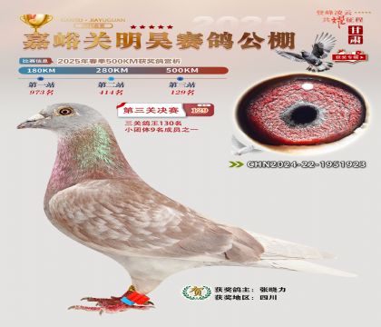 P(gun)껛Qِ129