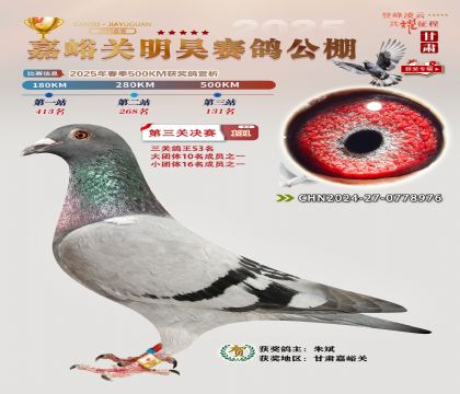 P(gun)껛Qِ131