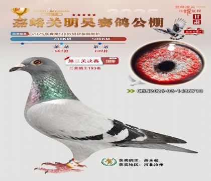 P(gun)껛Qِ133