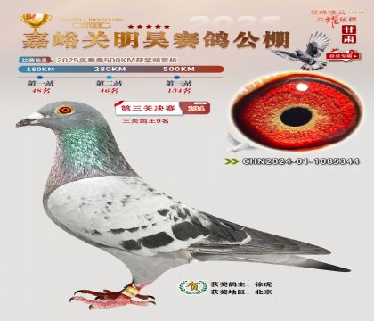 P(gun)껛Qِ134P(gun)9