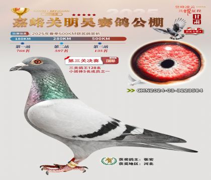 P(gun)껛Qِ135