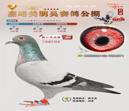 P(gun)껛Qِ136