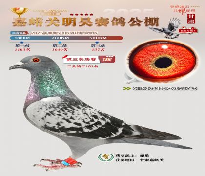 P(gun)껛Qِ137