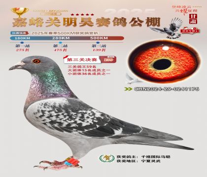 P(gun)껛Qِ139