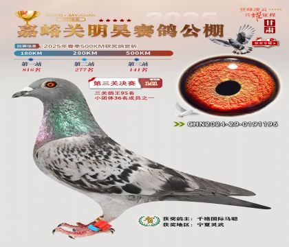 P(gun)껛Qِ141