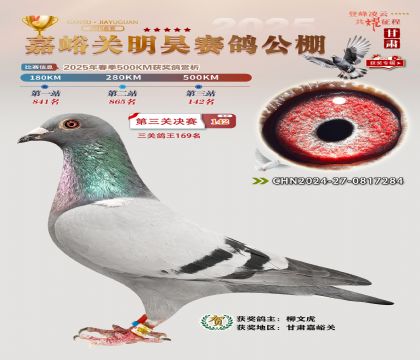 P(gun)껛Qِ142