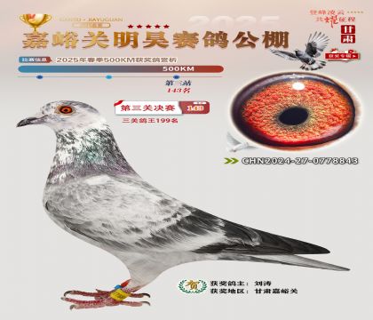 P(gun)껛Qِ143