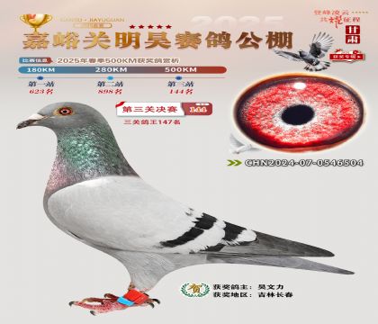 P(gun)껛Qِ144