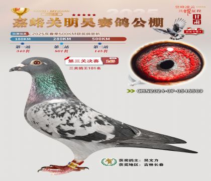 P(gun)껛Qِ145