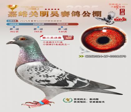 P(gun)껛Qِ146