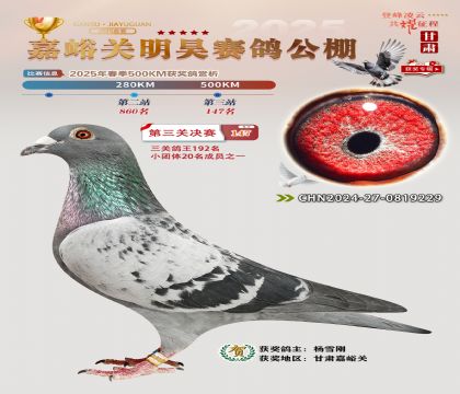P(gun)껛Qِ147