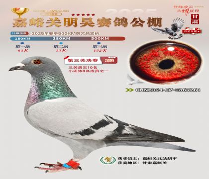 P(gun)껛Qِ152P(gun)10
