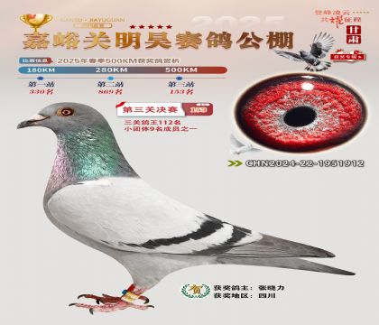 P(gun)껛Qِ153