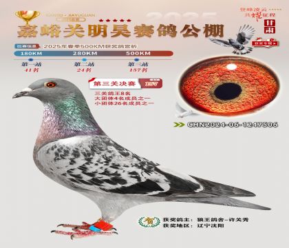 P(gun)껛Qِ157P(gun)8